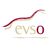 EVSO Logo